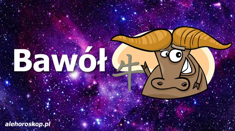 chiński znak zodiaku bawół