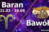 podwójna astrologia baran bawół