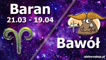 podwójna astrologia baran bawół