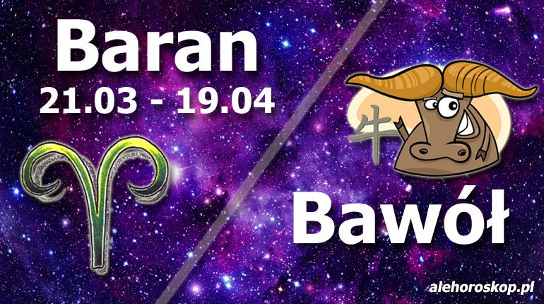 podwójna astrologia baran bawół
