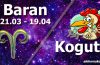 podwójna astrologia baran kogut