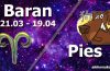 podwójna astrologia baran pies