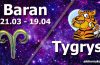 podwójna astrologia baran tygrys