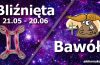 podwójna astrologia bliźnięta bawół
