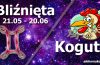 podwójna astrologia bliźnięta kogut