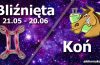 podwójna astrologia bliźnięta koń