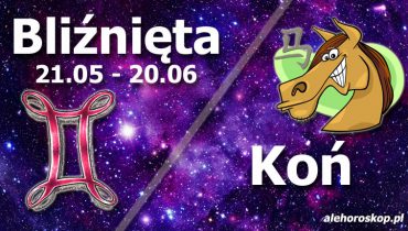 podwójna astrologia bliźnięta koń