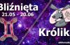 podwójna astrologia bliźnięta królik