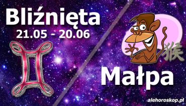 podwójna astrologia bliźnięta małpa