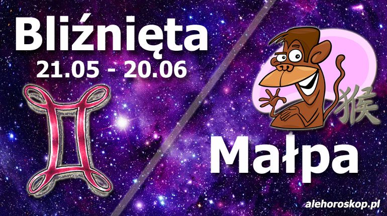 podwójna astrologia bliźnięta małpa