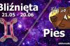 podwójna astrologia bliźnięta pies