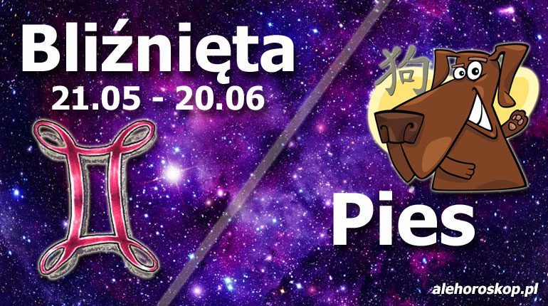 podwójna astrologia bliźnięta pies