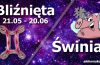 podwójna astrologia bliźnięta świnia