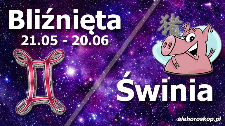 podwójna astrologia bliźnięta świnia