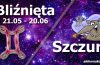 podwójna astrologia bliźnięta szczur