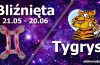 podwójna astrologia bliźnięta tygrys