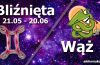 podwójna astrologia bliźnięta wąż