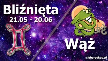 podwójna astrologia bliźnięta wąż