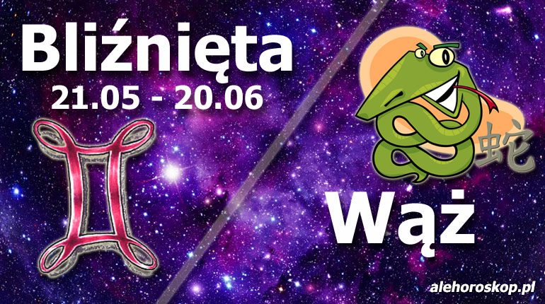 podwójna astrologia bliźnięta wąż
