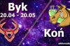 podwójna astrologia byk koń