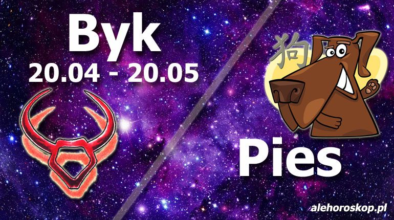 podwójna astrologia byk pies