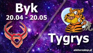 podwójna astrologia byk tygrys
