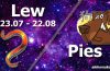 podwójna astrologia lew pies
