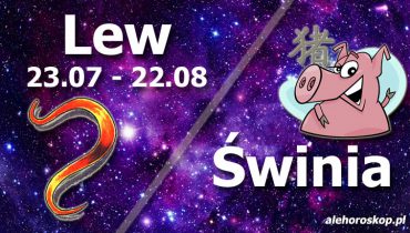 podwója astrologia lew świnia