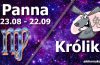 podwójna astrologia panna królik