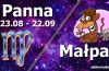 podwójna astrologia panna małpa