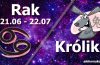 podwójna astrologia rak królik