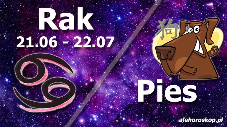 podwójna astrologia rak pies