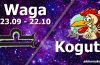 podwójna astrologia waga kogut