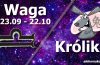 podwójna astrologia waga królik