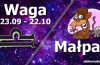 podwójna astrologia waga małpa