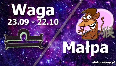 podwójna astrologia waga małpa
