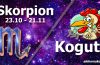 podwójna astrologia skorpion kogut
