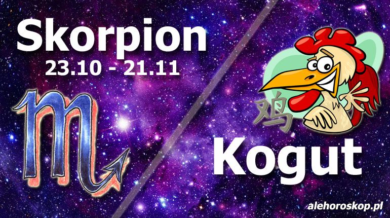 podwójna astrologia skorpion kogut