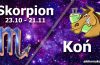 podwójna astrologia skorpion koń