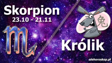 podwójna astrologia skorpion królik