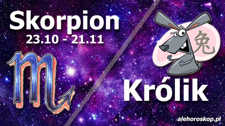 podwójna astrologia skorpion królik