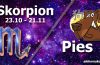 podwójna astrologia skorpion pies