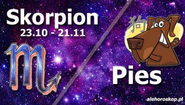 podwójna astrologia skorpion pies