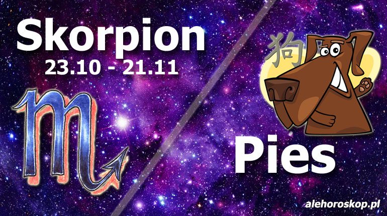 podwójna astrologia skorpion pies