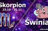 podwójna astrologia skorpion świnia