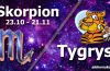 podwójna astrologia skorpion tygrys