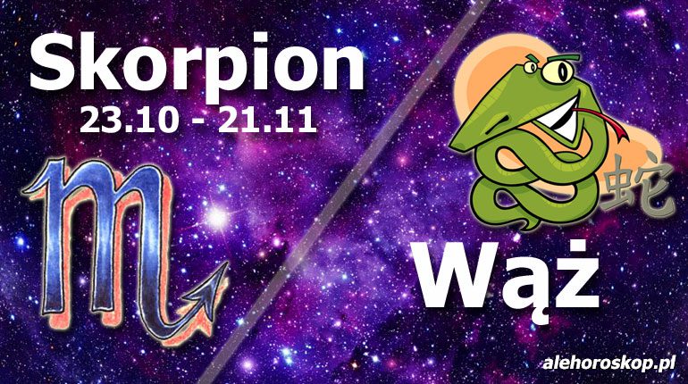 podwójna astrologia skorpion wąż