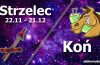 podwójna astrologia strzelec koń