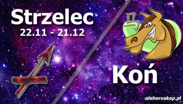 podwójna astrologia strzelec koń