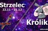 podwójna astrologia strzelec królik